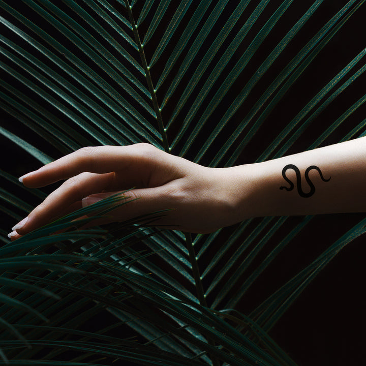 Schwarze Schlange Temporaeres Tattoo