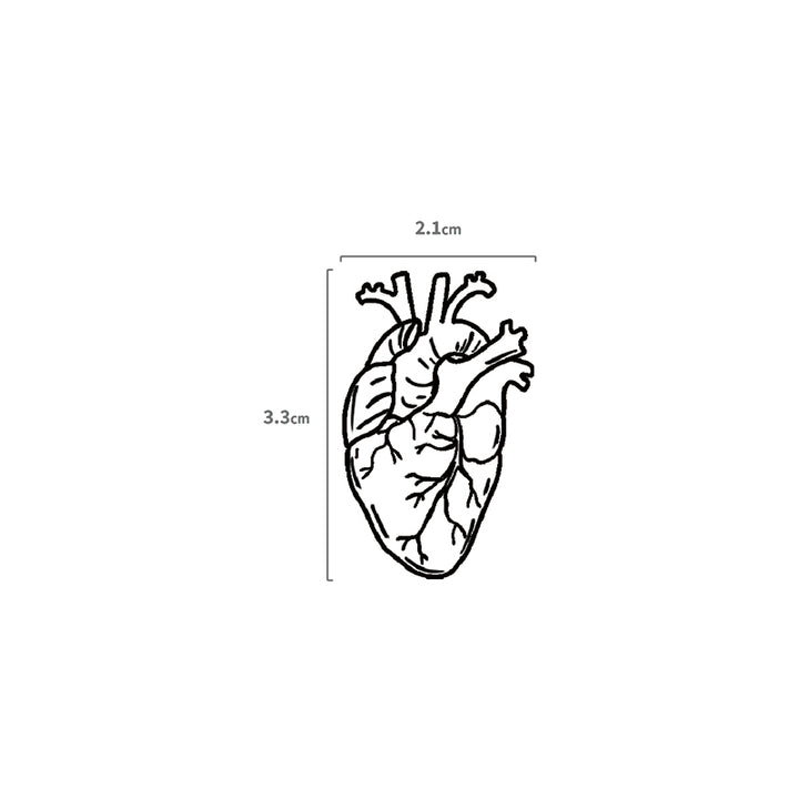 Anatomisches Herz Temporäres Tattoo Größenangabe